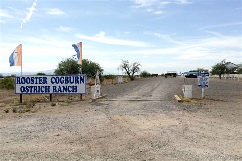 Rooster cogburn ostrich ranch - 17599 E Peak Ln, Picacho, AZ 85141, USA. (520) 466-3658 Get Tickets. Rooster Cogburn Ostrich Ranch